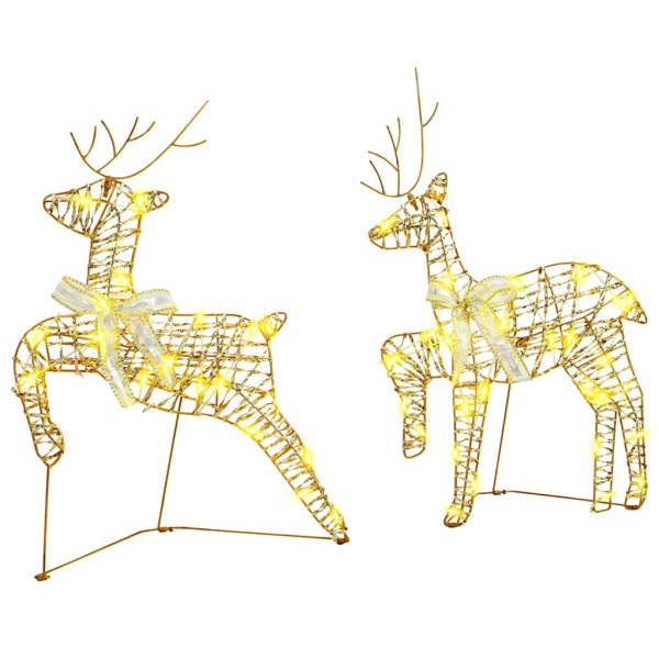 Renos LED con 40 LED 2 pcs Cálido 64 x 42 x 15 cm PET D