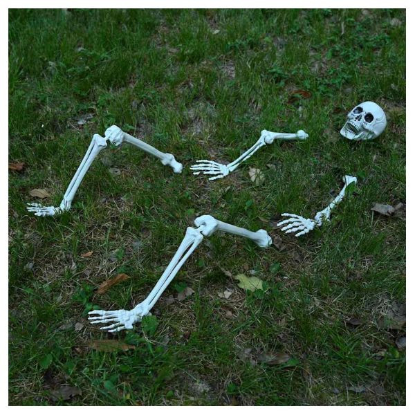 Esqueleto de Halloween 20 x 10 x 9.5 cm Plástico M 4