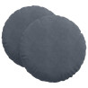 Cojines para asiento 2 pcs Gris oscuro Ø 40 x 13 cm Terciopelo 2