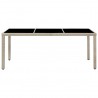 Set comedor de jardín 9 piezas y cojines ratán sintético beige 3