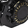 Motor a gasolina 6.5 CV 4.8 kW preto 5