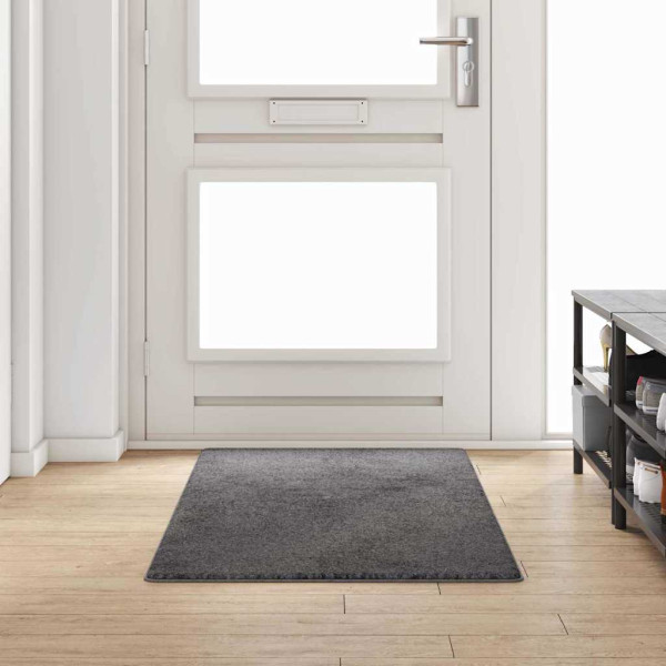 Runner de Alfombra Gris 80 x 200 cm D