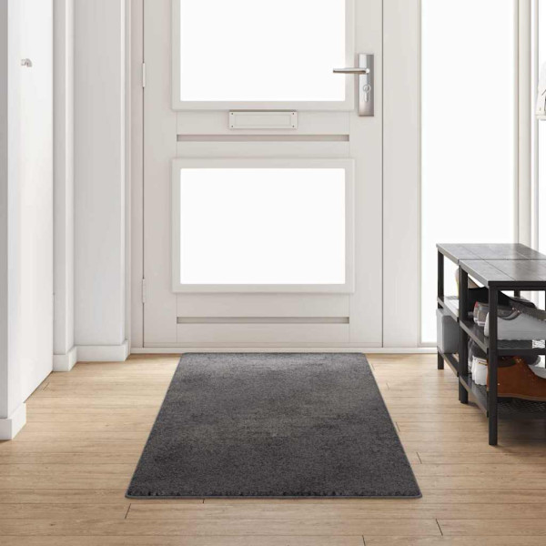 Runner de Alfombra Gris 80 x 300 cm D