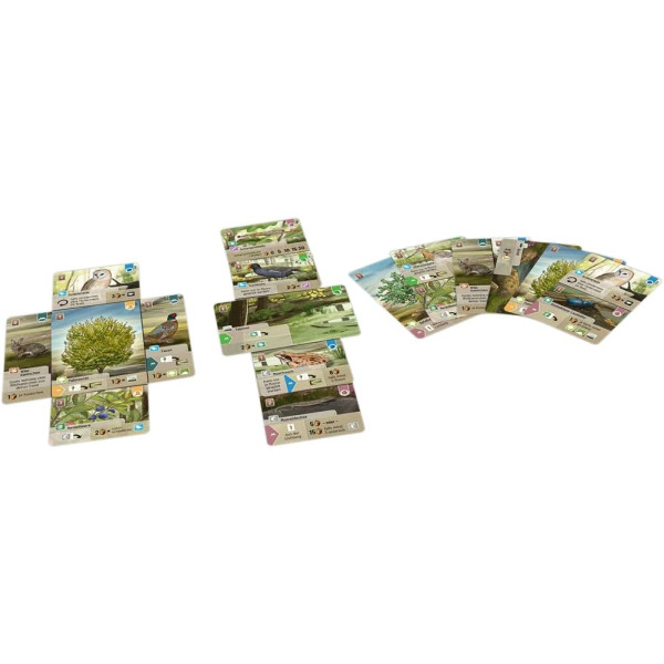Juego de mesa FOREST SHUFFLE DARTMOOR pegi 10 M 3