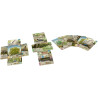 Juego de mesa FOREST SHUFFLE DARTMOOR pegi 10 3