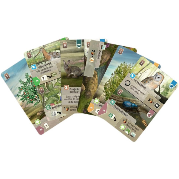 Juego de mesa FOREST SHUFFLE DARTMOOR pegi 10 M 4