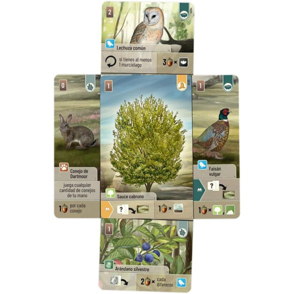 Juego de mesa FOREST SHUFFLE DARTMOOR pegi 10 M 5