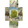 Juego de mesa FOREST SHUFFLE DARTMOOR pegi 10 5