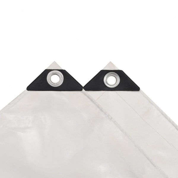 Lona 650 g/m² 6x8 m blanca M 4
