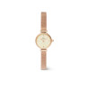 RELOJ DANIEL WELLINGTON MUJER  DW00100741 (19MM) 1
