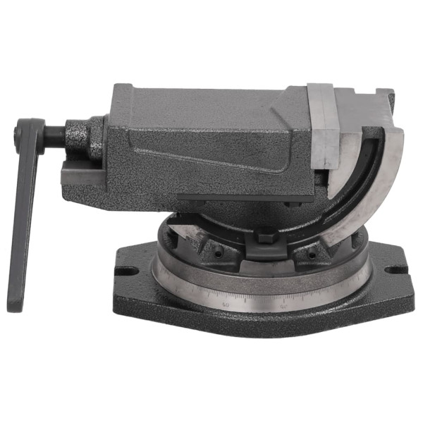 Tornillo de banco basculante de 2 ejes 100 mm M 2