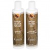 Kit tratamento de madeira CARE KIT 2x250 ml 2