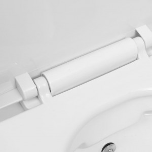 Inodoro WC de pared sin bordes cisterna oculta cerámica blanco H