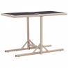 Mesa de jardim 110x53x72 cm vidro e vime PE bege 1