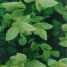 Painel de privacidade para jardim 35x0.19 m PVC verde 3