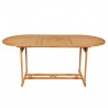 Conjunto de comedor de jardín 9 piezas madera maciza de teca 3