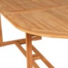 Conjunto de comedor de jardín 9 piezas madera maciza de teca 4