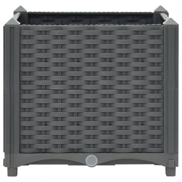 Arriate polipropileno 40x40x38 cm M 5