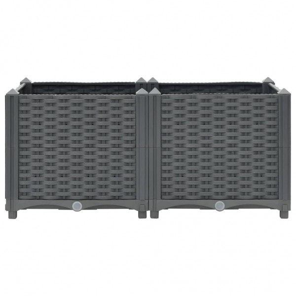 Arriate polipropileno 80x40x38 cm M 5