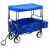 Carrito de mano plegable de acero con capota azul 2