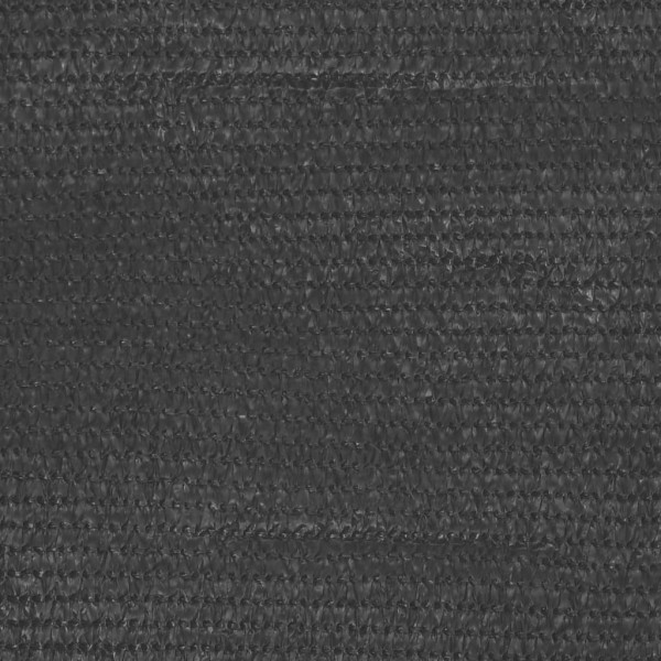 Toldo para balcón HDPE gris antracita 90x300 cm M 2