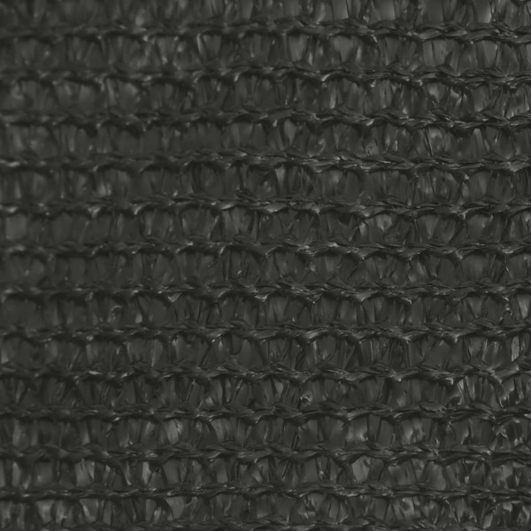 Toldo de vela gris antracita HDPE 160 g/m² 3.5x5 m M 2