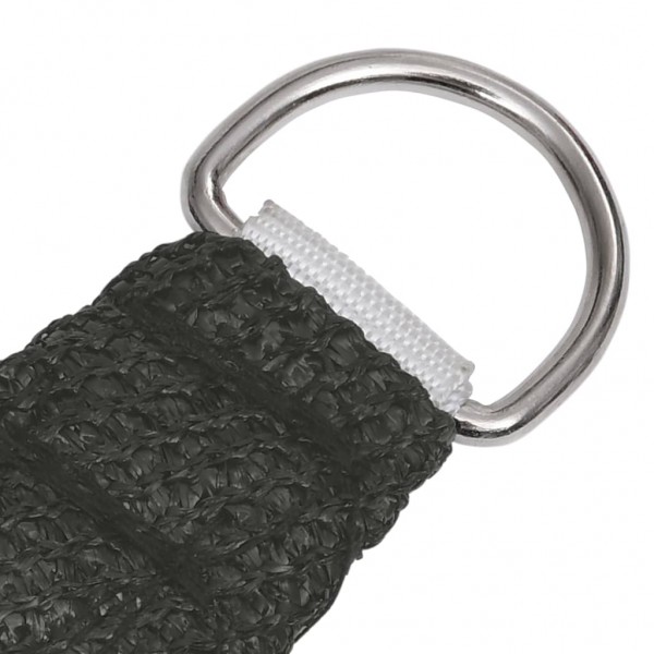 Para-sol estilo vela 160 g/m² 3/4x3 m PEAD antracite M 4