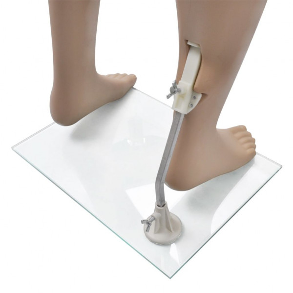 Maniquí de hombre sin cabeza M 4