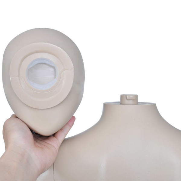 Maniquí de mujer con cabeza redonda M 4