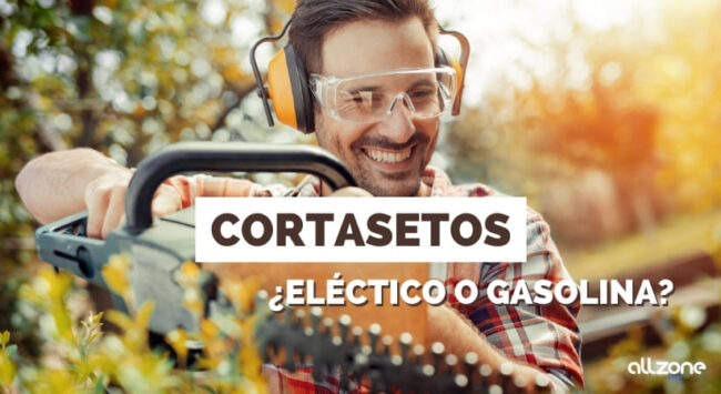 Cortasetos eléctrico o de gasolina