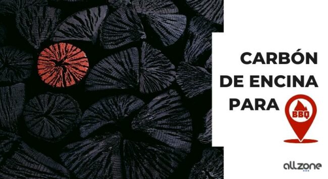 Carbón de encina para Barbacoa