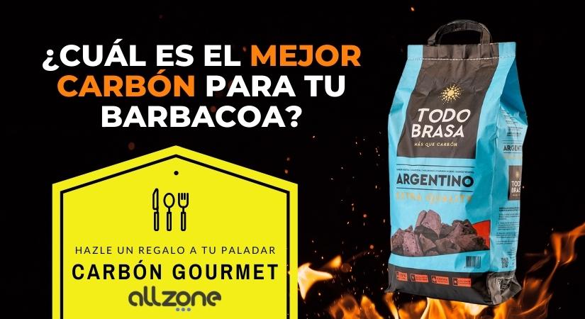 ¿Cuál es el mejor carbón para barbacoa?