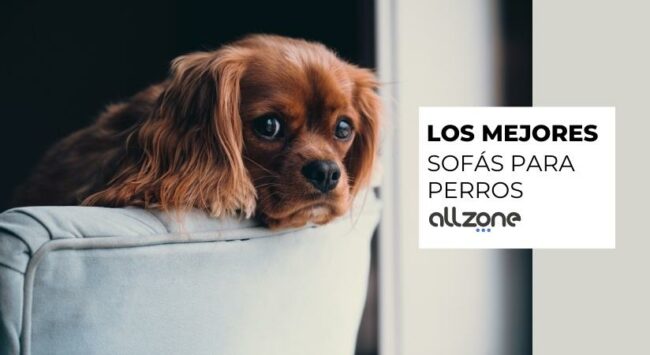 Sofá para el descanso de los perros