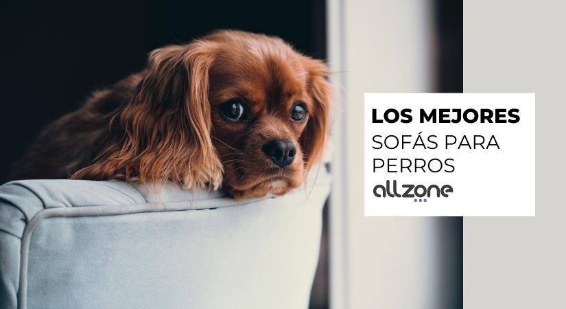 Sofá para el descanso de los perros
