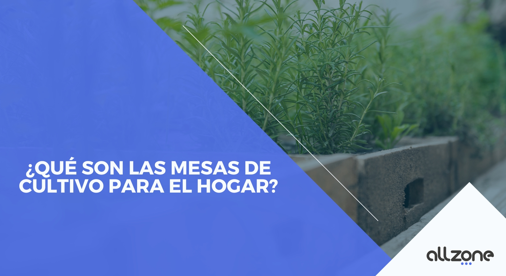 ¿Qué son las mesas de cultivo para el hogar?