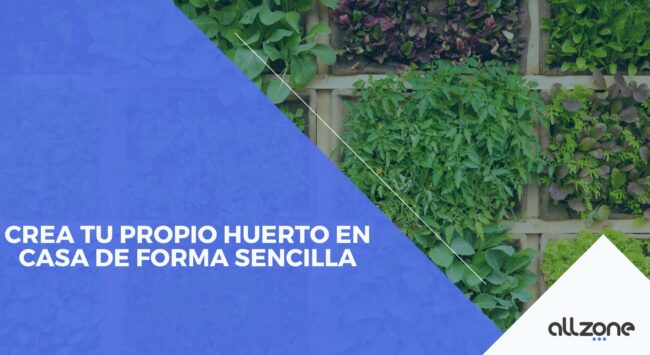 Crea tu propio huerto en casa de forma sencilla