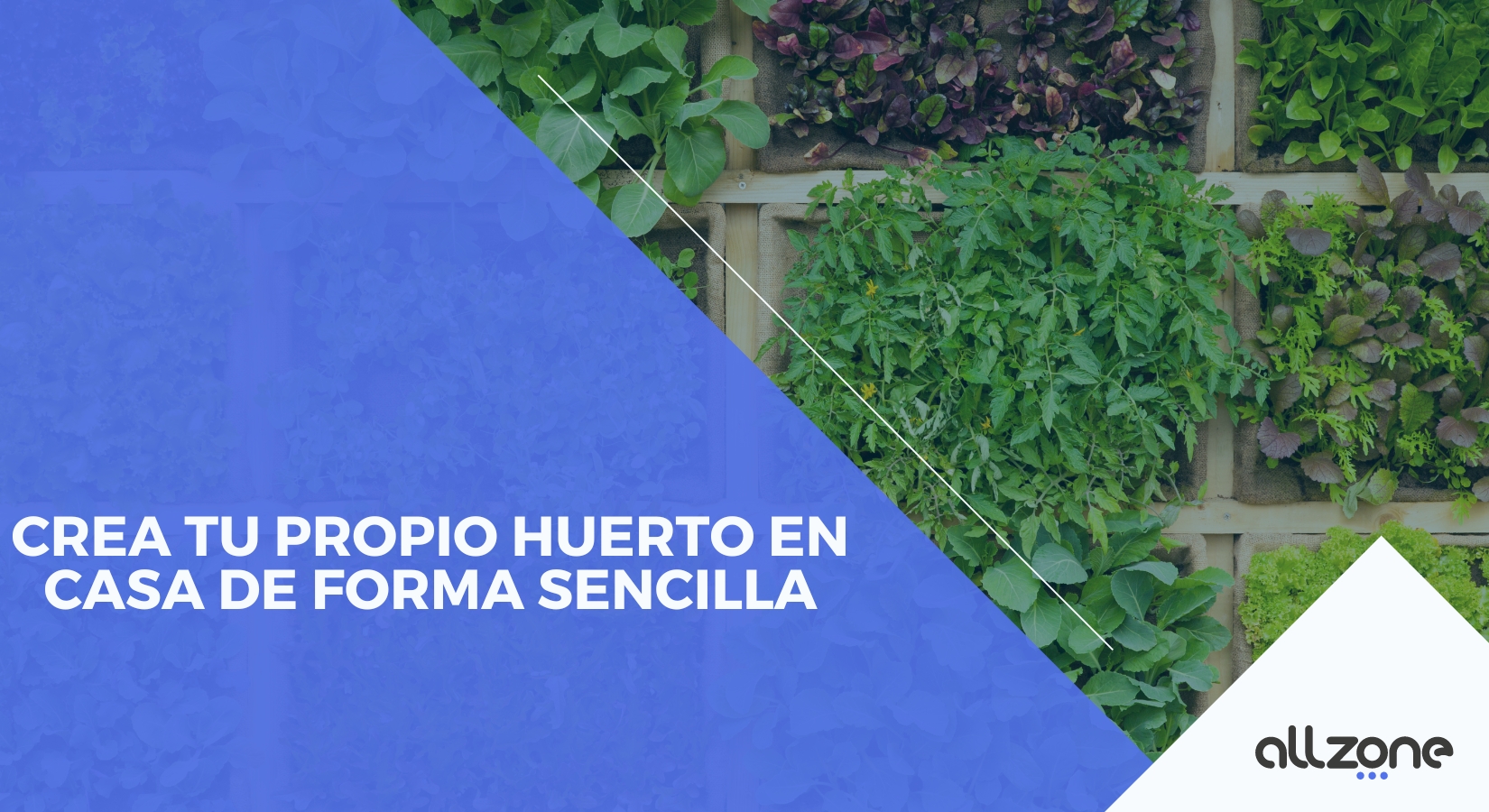Crea tu propio huerto en casa de forma sencilla Crea tu propio huerto en casa de forma sencilla